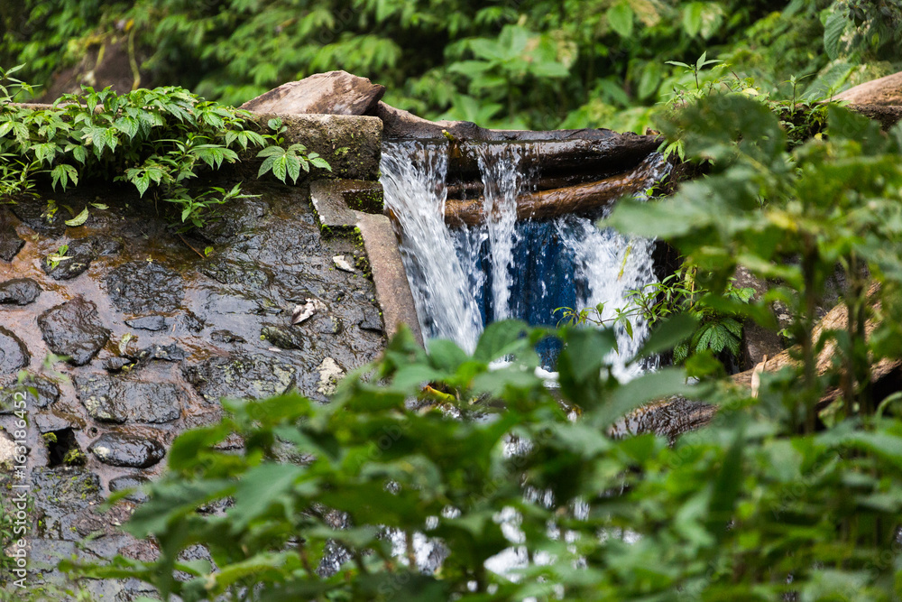 Kleiner Fluss im Dschungel Balis - Indonesien Kleiner Fluss im Dschungel Balis - Indonesien