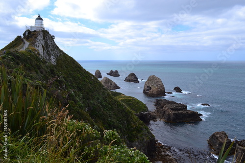 ocean view in New Zealand