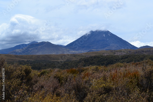 landscape in New Zealand