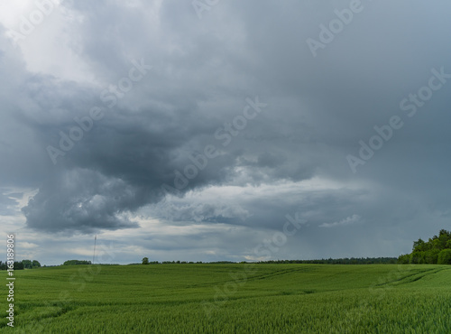 Landscape photo of cloudy blue sky and green meadow