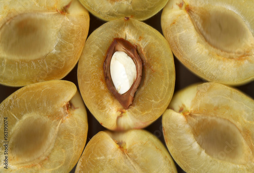 apricot macro background