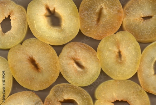 apricot macro background