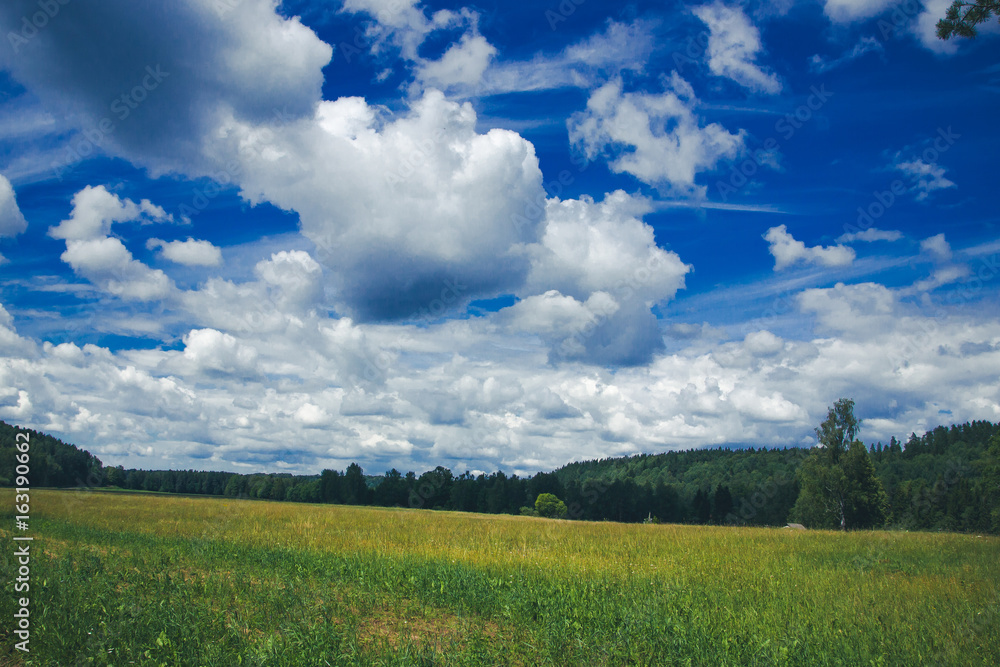 Beautiful summer landscape. Blue cloudy sky over green field and forest.