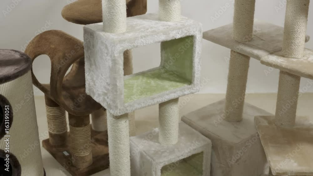Indoor cat play area in living room. Cat condo scratchers, cat trees floor to ceiling. Muliple levels for climbing, jumping, playing, and lounging. Tilt up. Indoor cat play area in living room. Cat condo scratchers, cat trees floor to ceiling. Muliple levels for climbing, jumping, playing, and lounging. Tilt up.