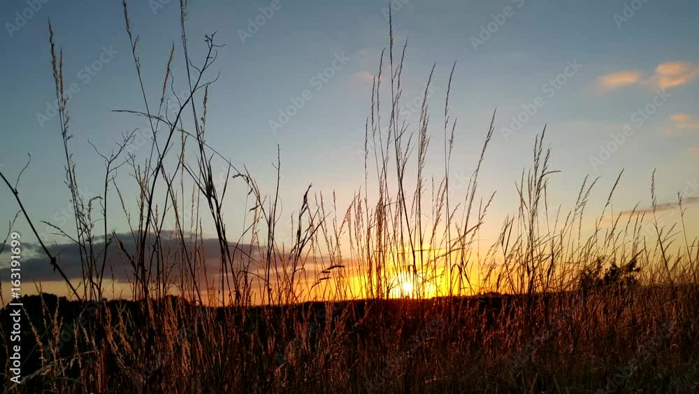 Sunset taken through grass from the Monreberg, Kalkar, Germany Sunset taken through grass from the Monreberg, Kalkar, Germany