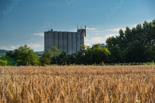 Grain silo behind the barley field