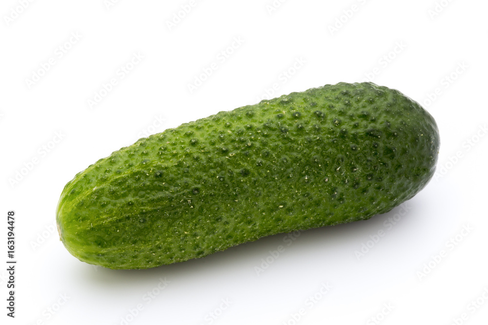 The first spring ecologically cucumbers. The first spring ecologically cucumbers.