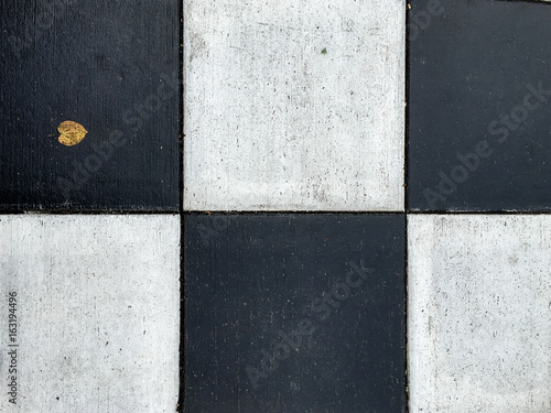 Black and White Squares with Leaf