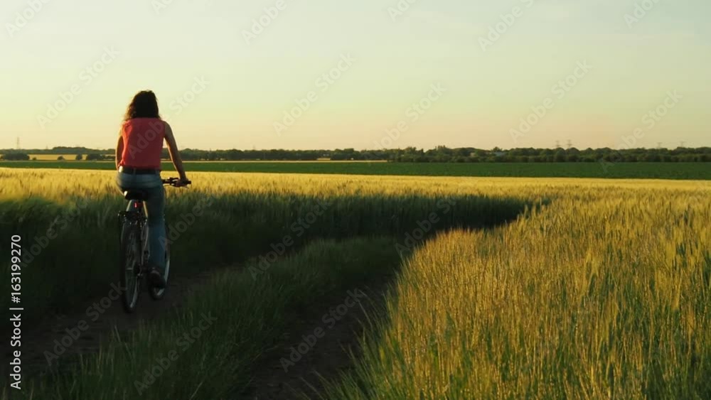 Girl with a bicycle outdoors. Girl riding a bicycle on a wheat field. Girl with a bicycle outdoors. Girl riding a bicycle on a wheat field.