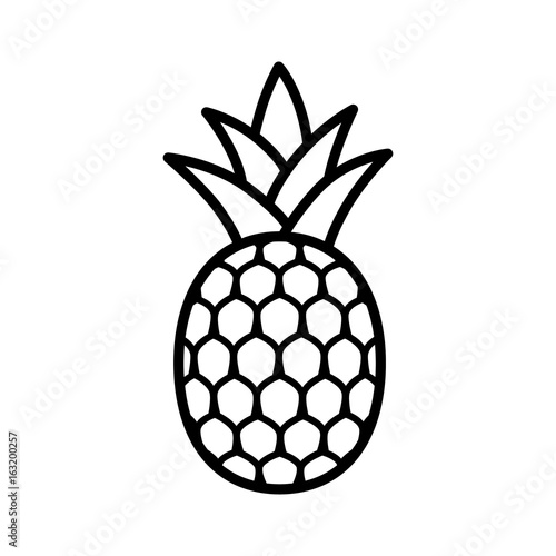 Pineapple tropical fruit with leaves line art vector icon for food apps and websites