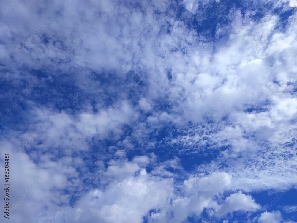 Obraz premium 台風一過の青空