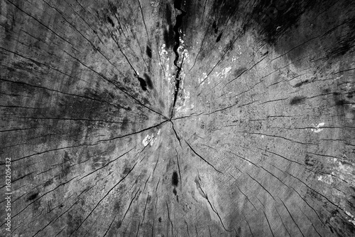 Dark black wood texture background.