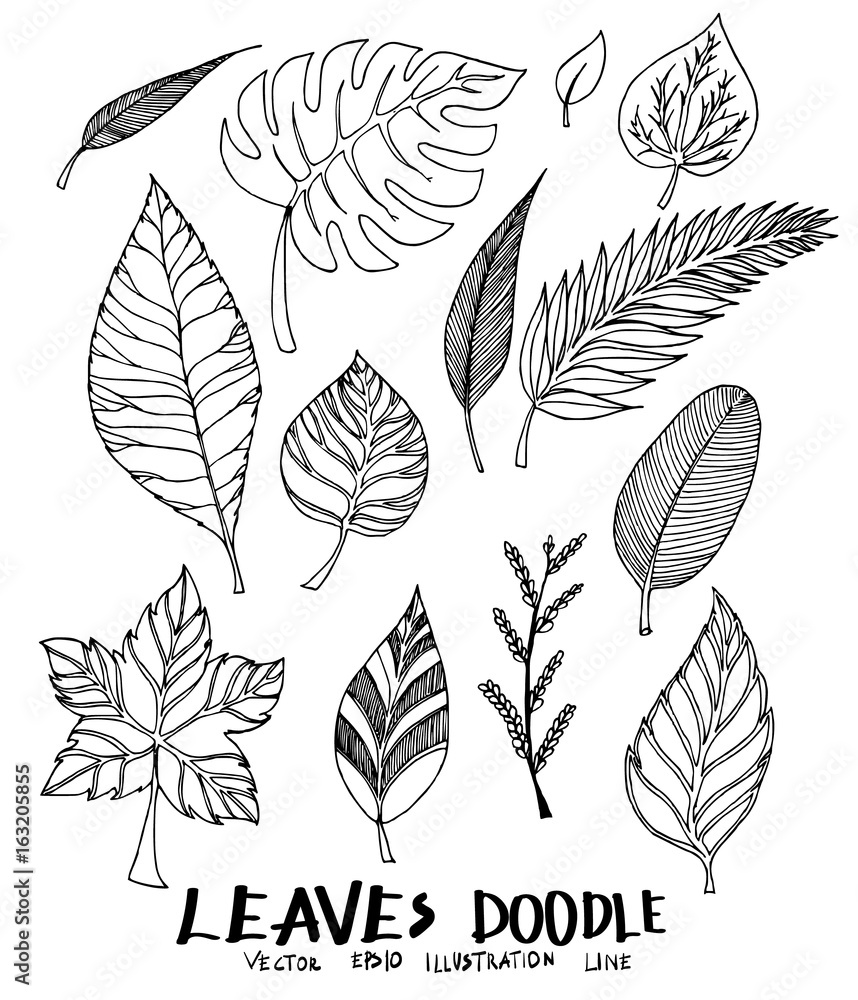 Doodle Leaf Set Icons Isolated On White Stencil Leaves Vector Stock  Illustration Eps 10 Stock Illustration - Download Image Now - iStock