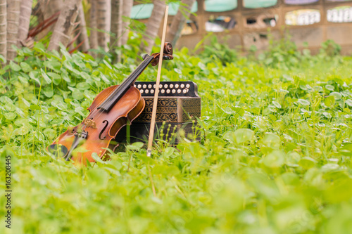 Obraz na plátně .Violin with accordion Put on the lawn Wait for the party tonight