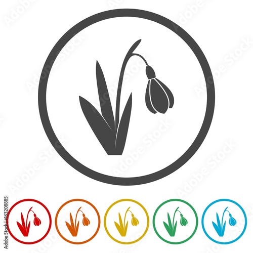 Snowdrop, vector icons set - Illustration 