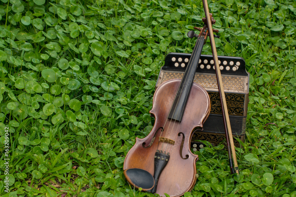 .Violin with accordion Put on the lawn Wait for the party tonight .Violin with accordion Put on the lawn Wait for the party tonight