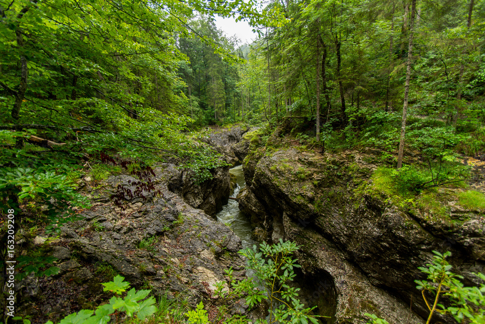 Natur, wandern, freizeit, urlaub