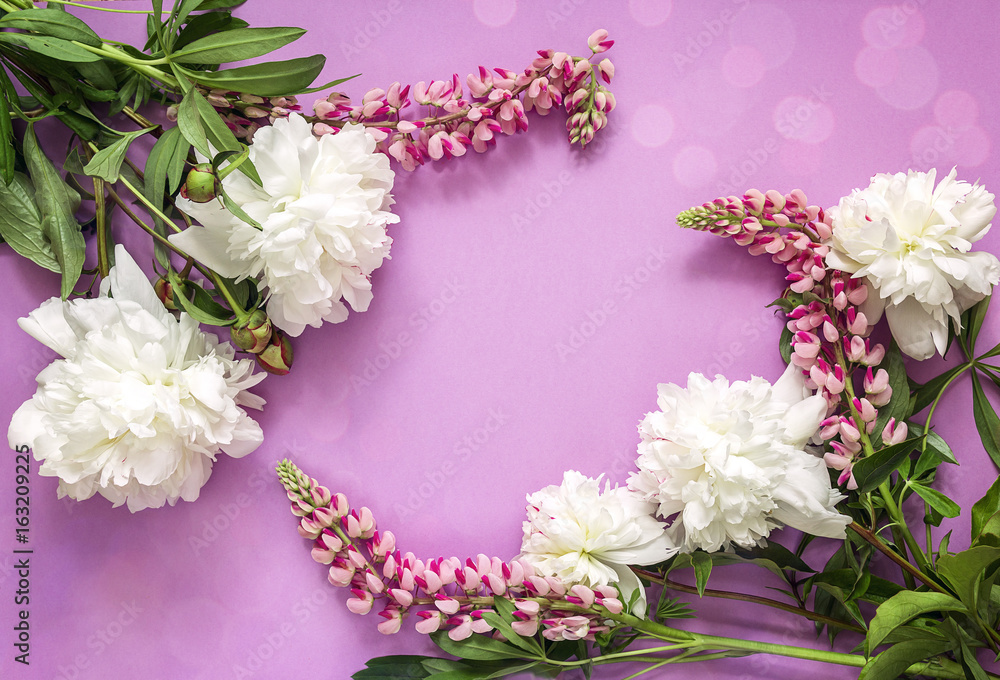 Frame of white peonies and lupines on violet background with copy space. Frame of white peonies and lupines on violet background with copy space.