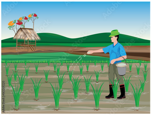 farmer manure rice plant vector design