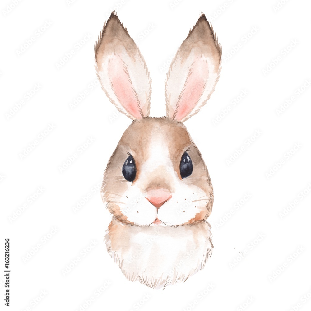 Cute rabbit. Watercolor illustration. Isolated on white background 2 ...
