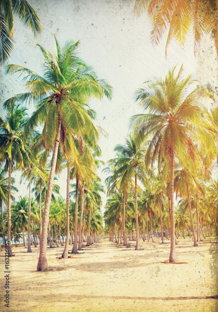 Coconut Palm trees on sandy beach- - retro styled picture Coconut Palm trees on sandy beach- - retro styled picture