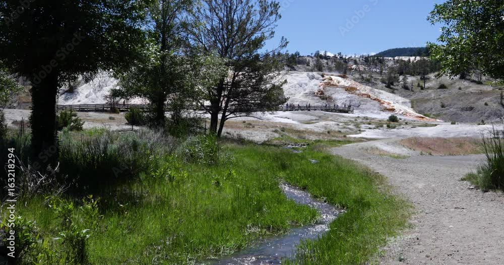 Creek along Mammoth Hot Springs 4k 24fps