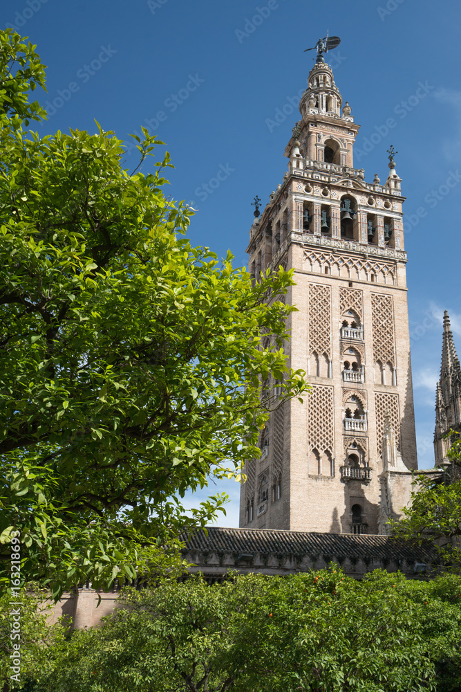 Catedral de Santa María de la Sede, Seville, Andalucia, Spain