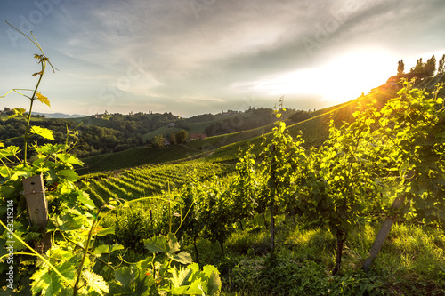 Südsteirische Weinstraße