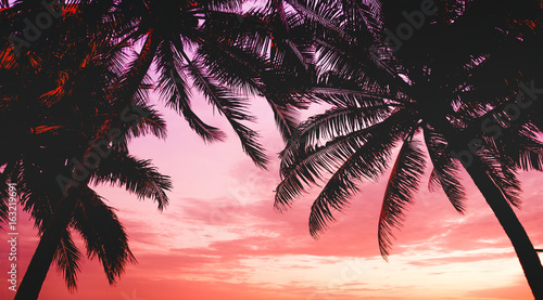 Silhouette of coconut palm tree with sunset sky background at the beach,