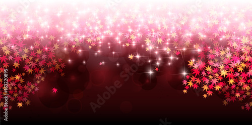 紅葉　もみじ　秋　背景