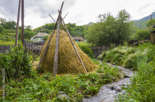 стог сена в огороде photo