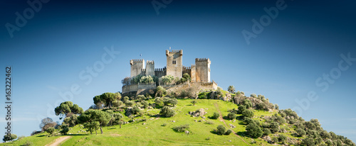 Foto Castle on a Hill