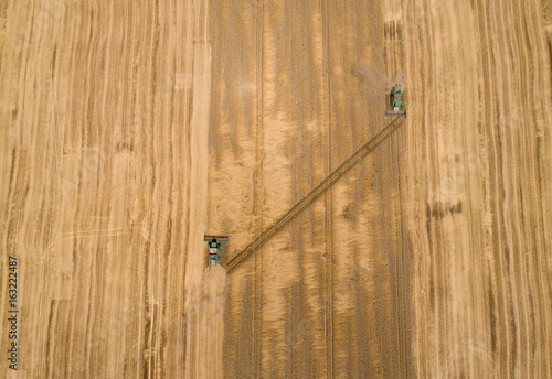 Combine harvesters in wheat field