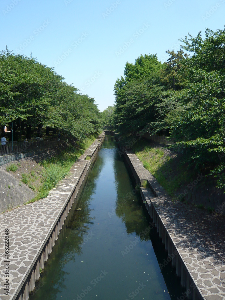 Fototapeta premium 郊外の川と遊歩道