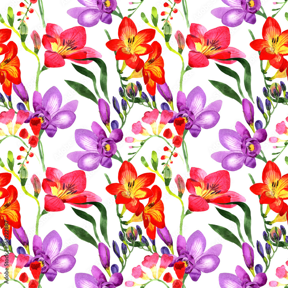 Obraz premium Wildflower fresia flower pattern in a watercolor style. Full name of the plant: fresia. Aquarelle wild flower for background, texture, wrapper pattern, frame or border.