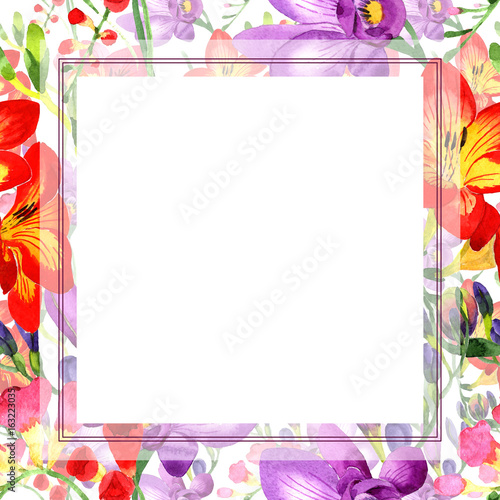 Wildflower fresia flower frame in a watercolor style. Full name of the plant: fresia. Aquarelle wild flower for background, texture, wrapper pattern, frame or border.