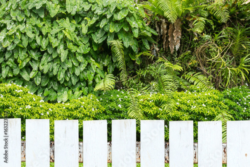 White picket fence and green plants.