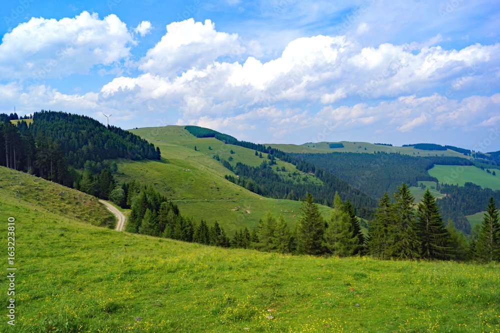 Fototapeta premium SOMMERALM ( Oststeiermark )