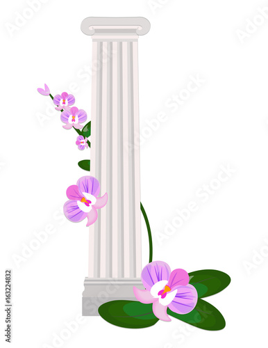 Greek Ionic columns order vintage design Vector illustration