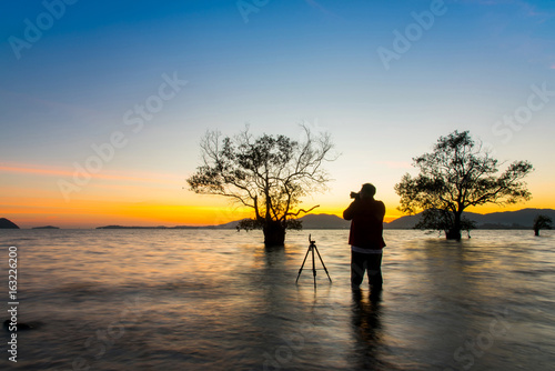 Men taking pictures beautiful mangrove tree with a colorful sunset,Phuket,Thailand.