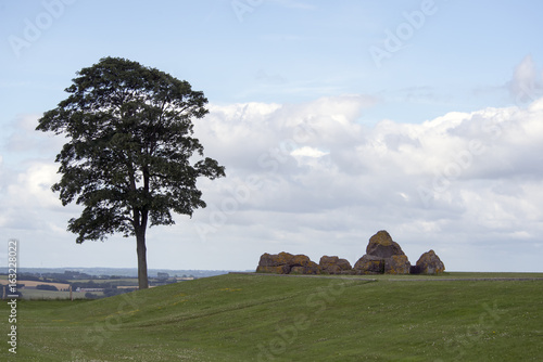 Ruin  at Dybboel photo