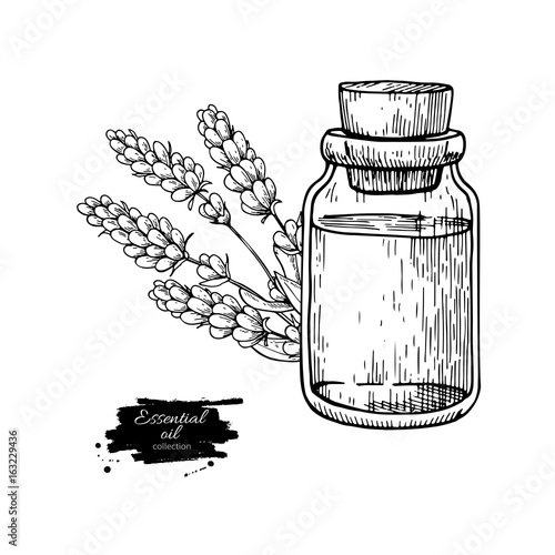 Lavander essential oil bottle and bunch of flowers hand drawn vector illustration. Isolated drawing for Aromatherapy treatment,