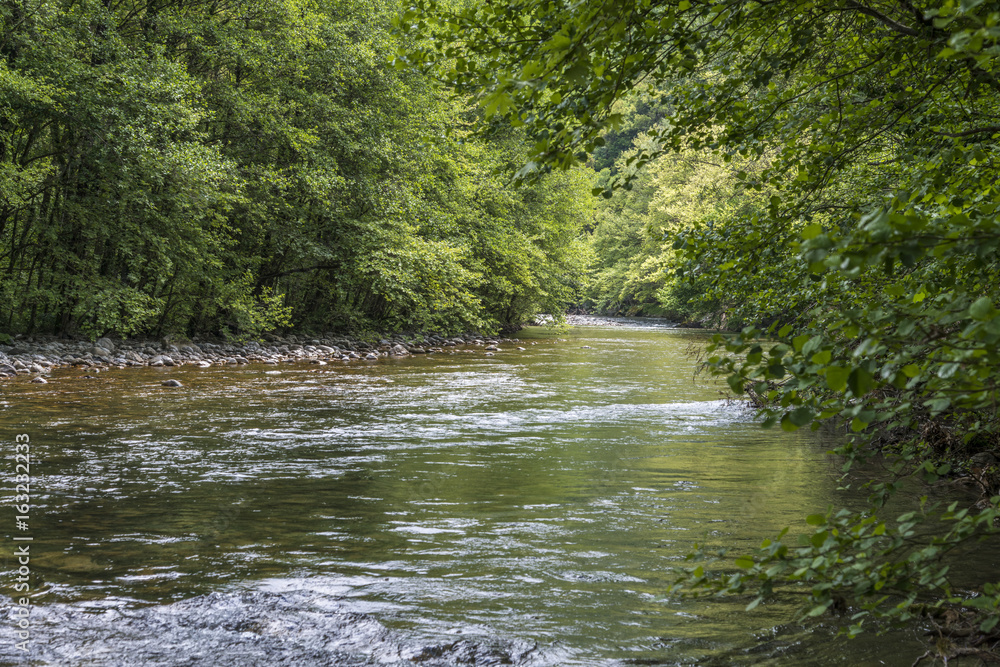 Naklejka premium Voidomatis Springs
