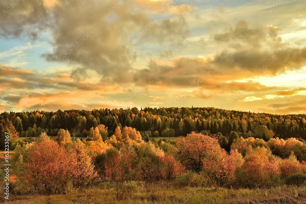 Bright rural autumn landscape at sunset