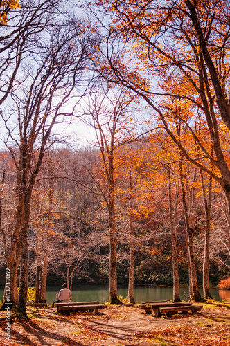 Autumn Forest at Dokko pond