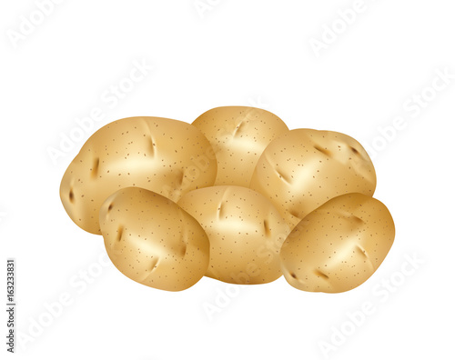 White potatoes on white background