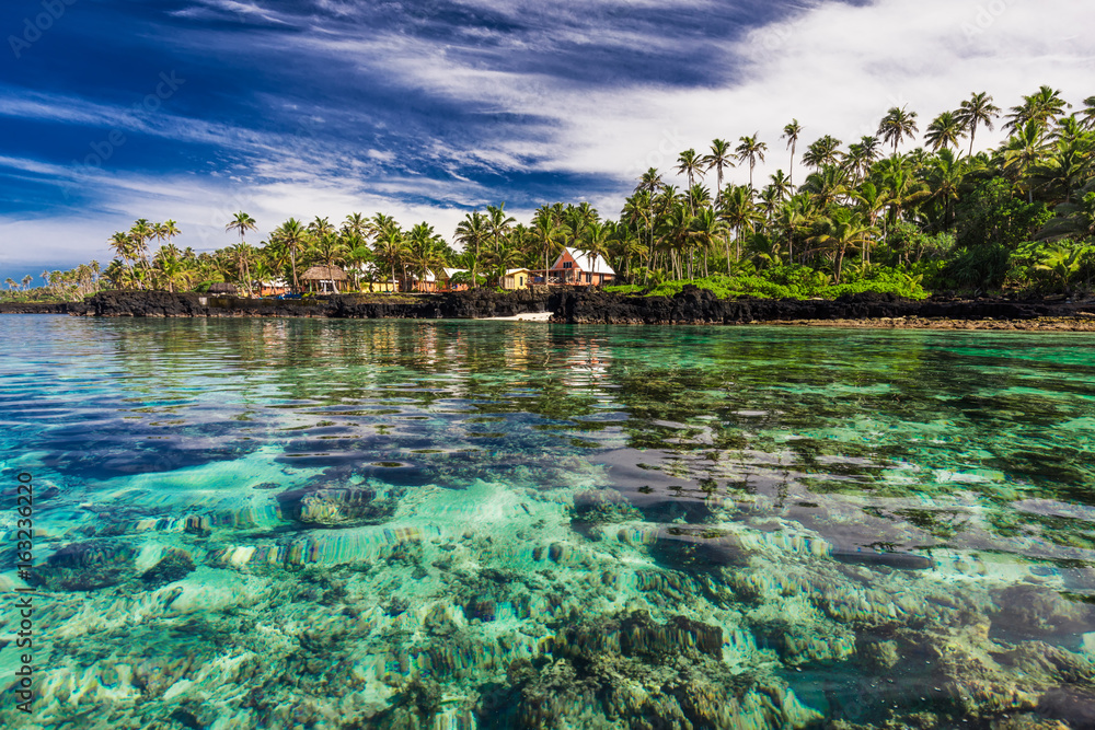 Coral reef lagoon with palm trees on the beach, south side of Upolu, Samoa  Photos | Adobe Stock