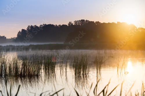 Letni poranek nad wodą