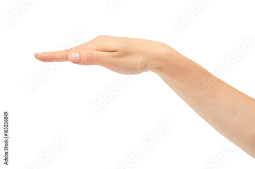 Gesture of a woman's hand, show measure. Isolated on white background