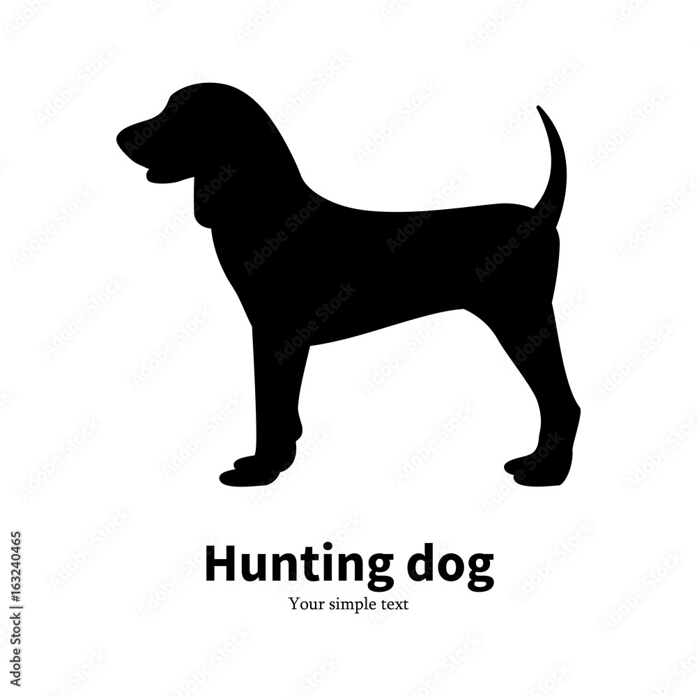 Vector illustration black silhouette hunting dog